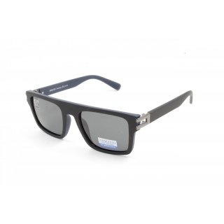 ARMATIO POLARIZED 66007 C4 53-21-148 матовые